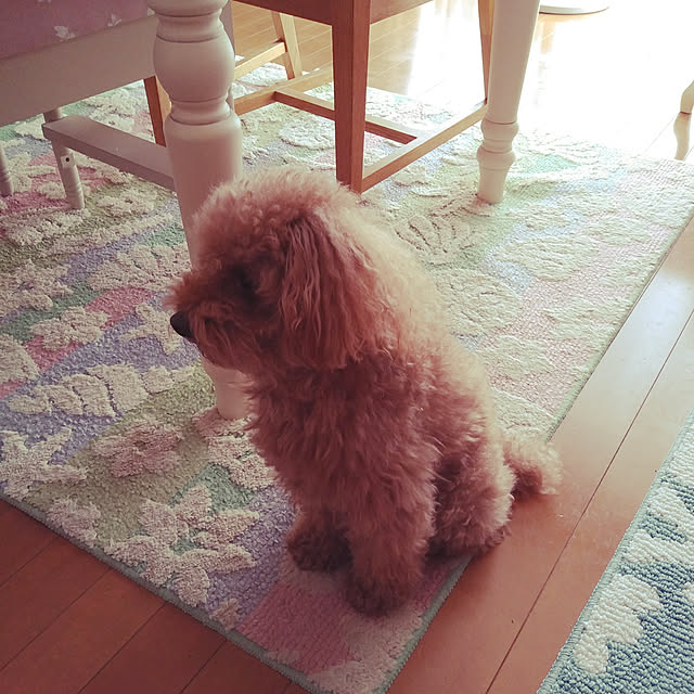 arielarielさんの実例写真