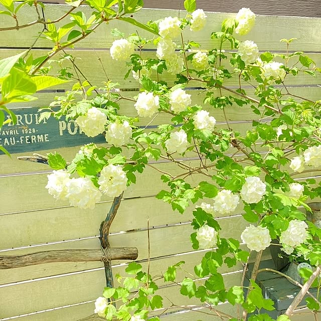 min_nimさんの実例写真