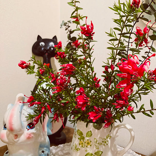 bimoさんの実例写真