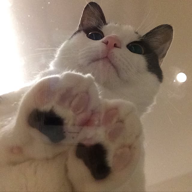 aruさんの実例写真