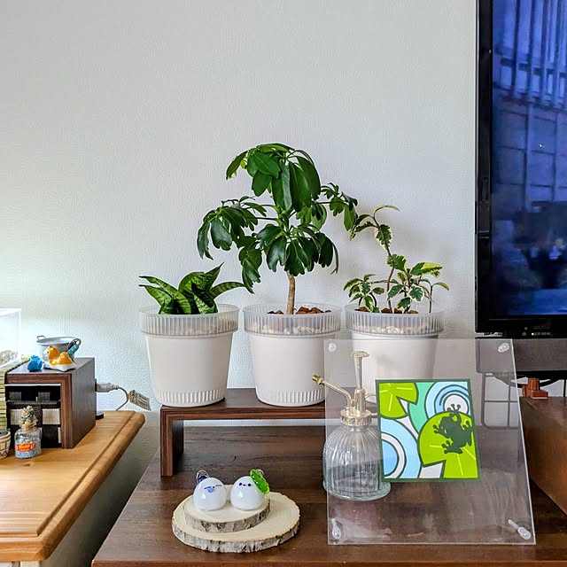 mi-saさんの部屋