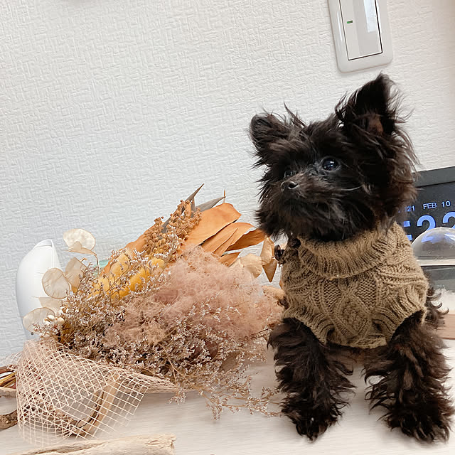 cotapiさんの実例写真