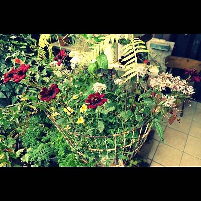 GreenWorksさんの実例写真