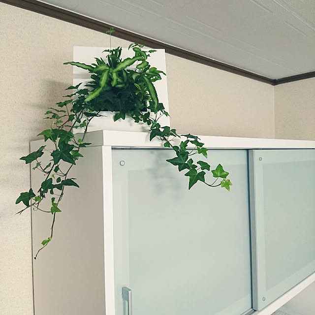 sさんの実例写真