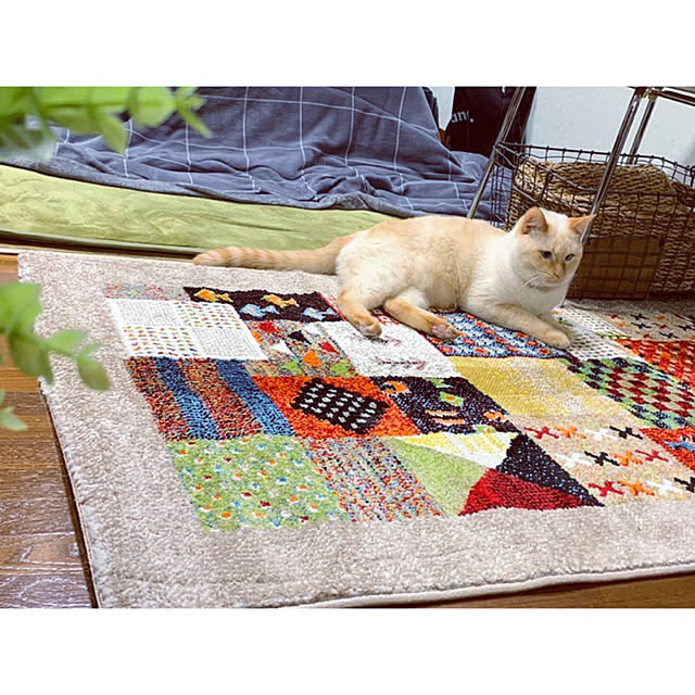 mohhaさんの実例写真