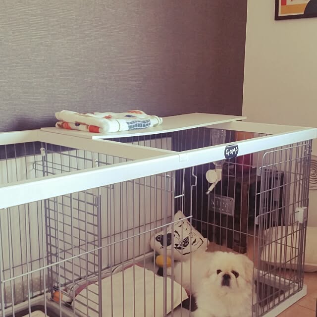 yukaiさんの実例写真