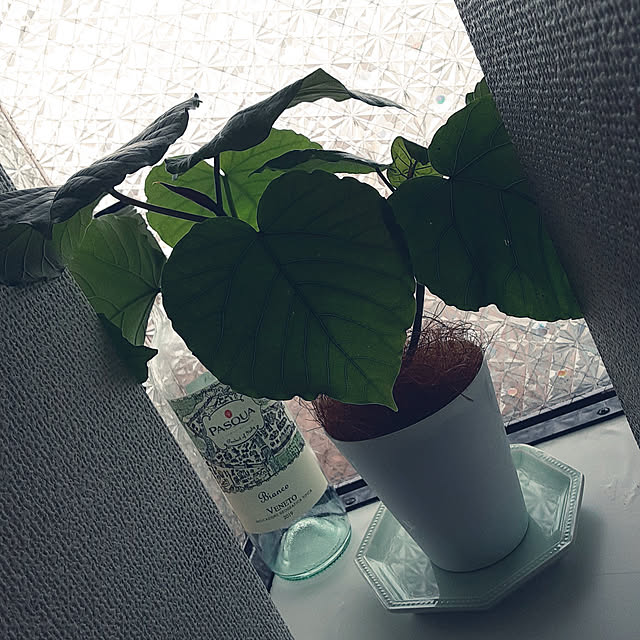 ririeeさんの実例写真