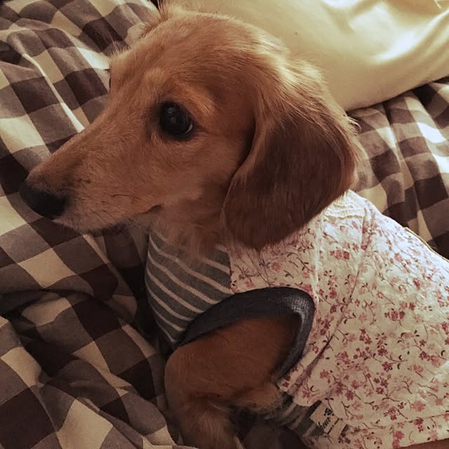 Atelier.mさんの実例写真