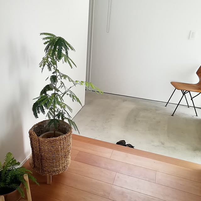 naoさんの実例写真