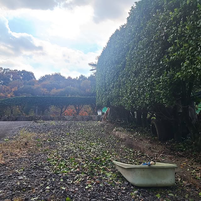 Rubiconさんの部屋