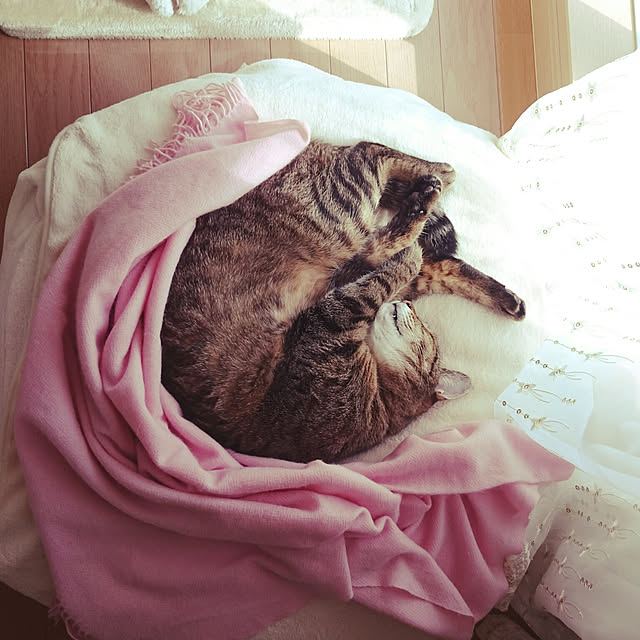 lilyさんの実例写真