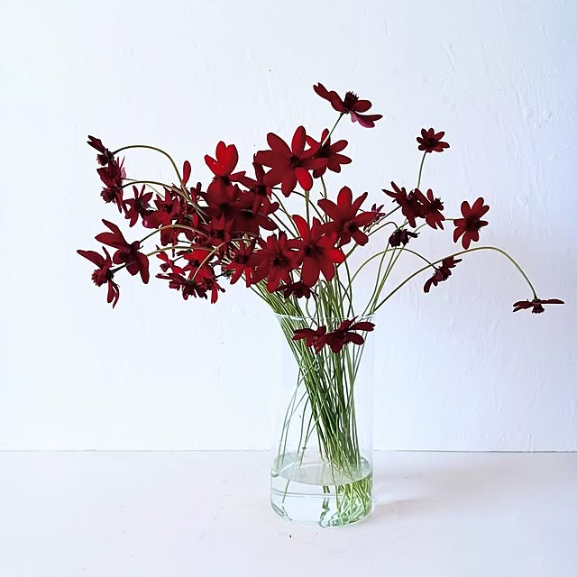 shituraeさんの実例写真