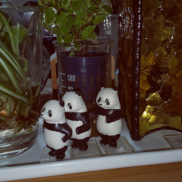 kogekogeさんの実例写真