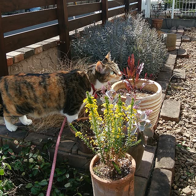 tomo1220さんの実例写真