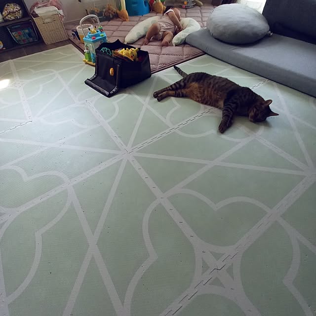 p-p-maruさんの部屋