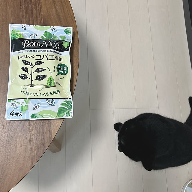 nekomiさんの部屋