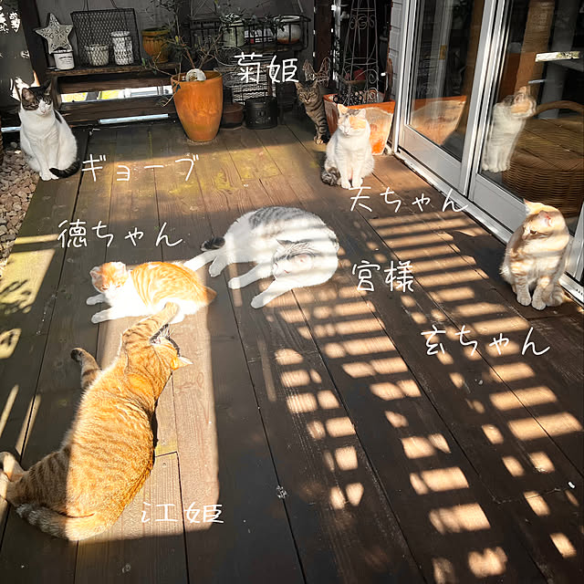 marusanさんの実例写真