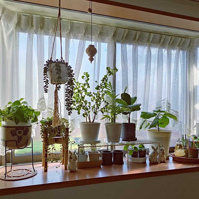 makotomosukeさんの実例写真