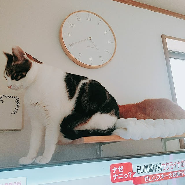 kirakirahikaruさんの実例写真