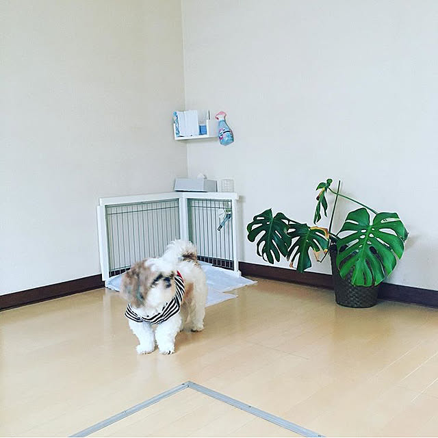 my_homeさんの実例写真