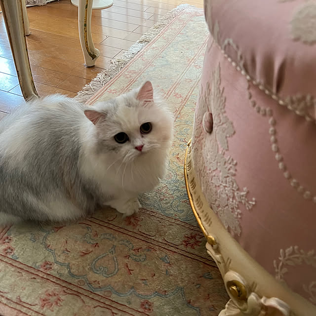 AYUKOさんの実例写真