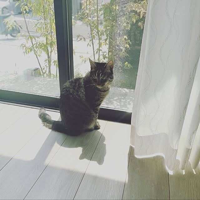 riyucoさんの実例写真
