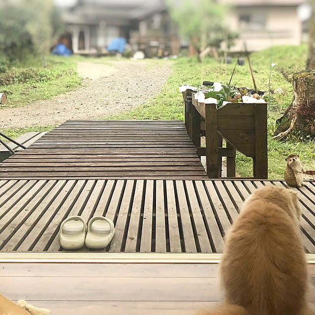 shiratamaさんの実例写真