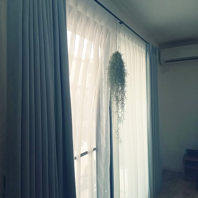 nuuさんの実例写真