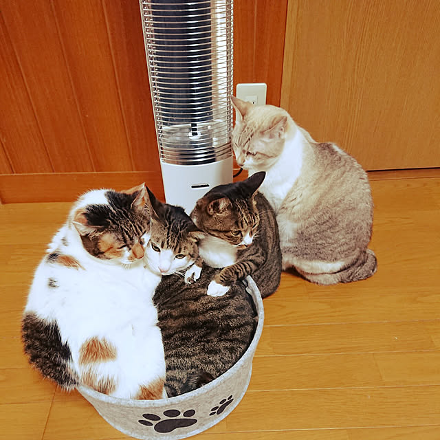 nachiさんの実例写真
