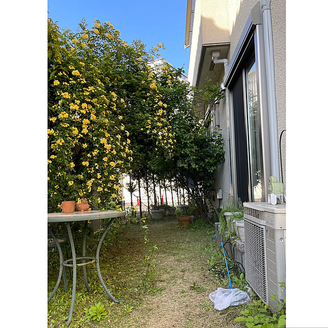 roserose555さんの実例写真