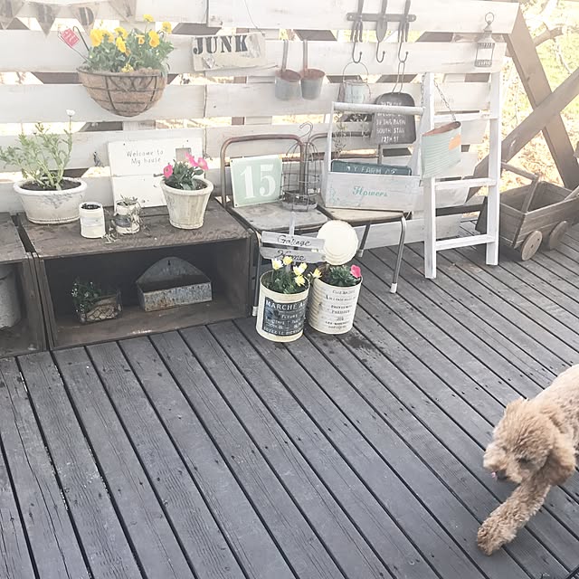 erinkoさんの実例写真