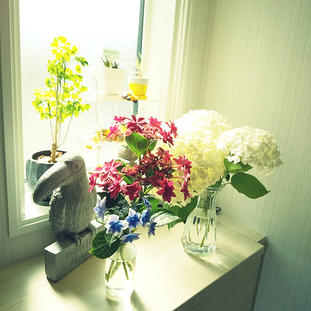 Chinatsuさんの実例写真