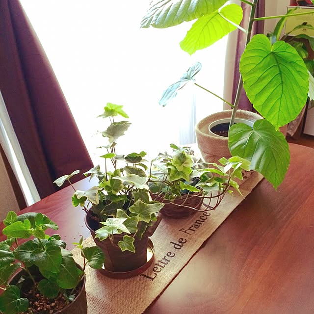 tomoさんの実例写真