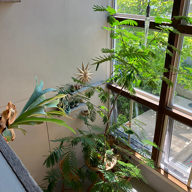 micさんの部屋