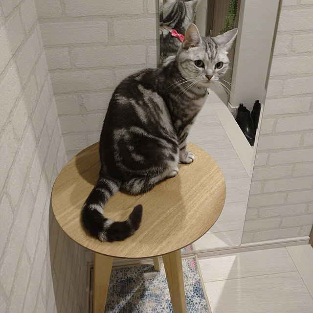 filament0109さんの実例写真