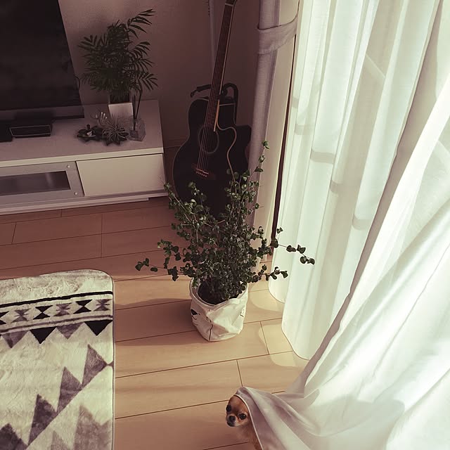 rinrinさんの実例写真