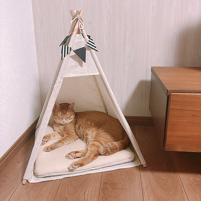reo..m.aさんの実例写真