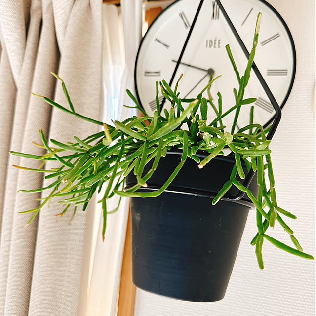 Kurehaさんの実例写真