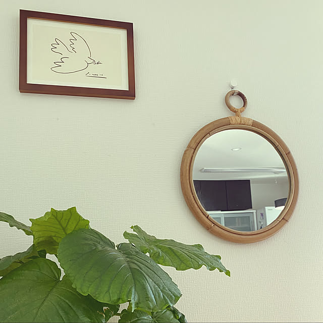 mocoさんの実例写真