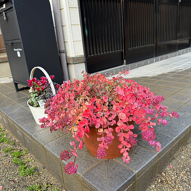 sakakenさんの実例写真