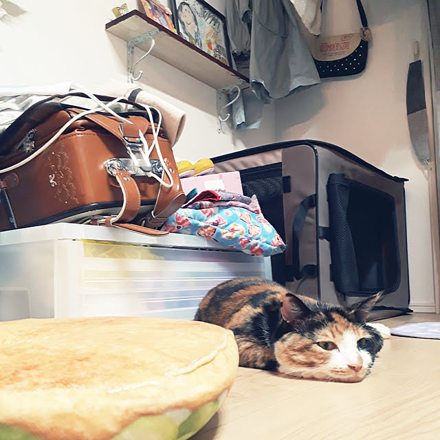 aiさんの実例写真