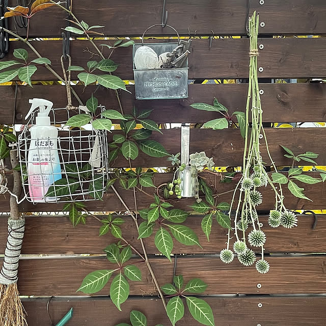 nobikoさんの部屋