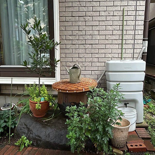 botanさんの部屋