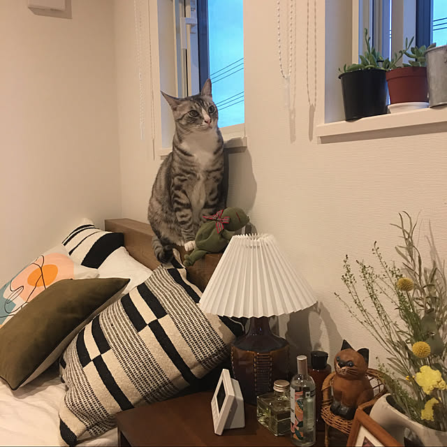 HNMBさんの実例写真