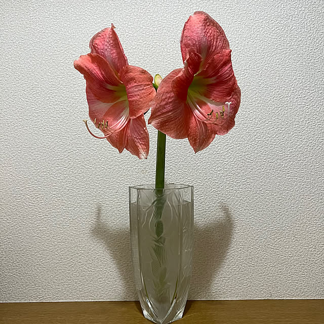 nannoさんの部屋