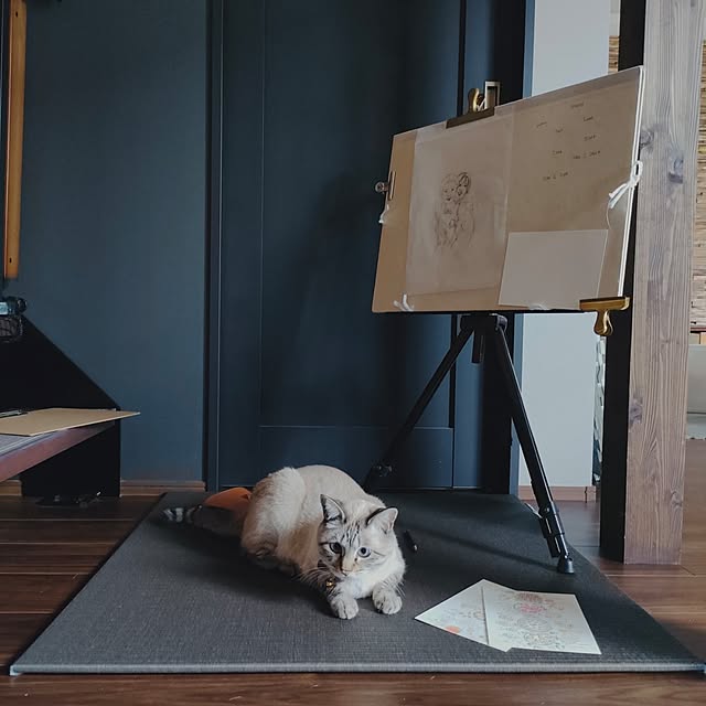 Atelier_tamakiさんの部屋