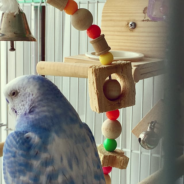 toratanさんの実例写真