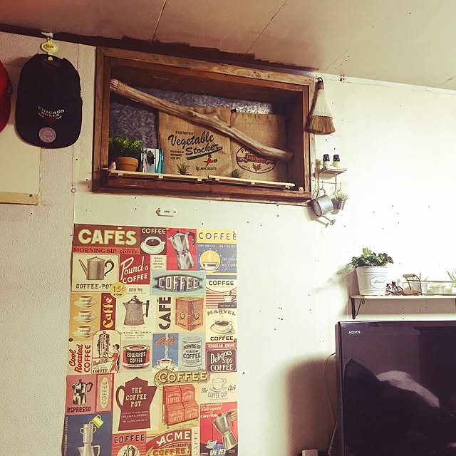 wataさんの実例写真