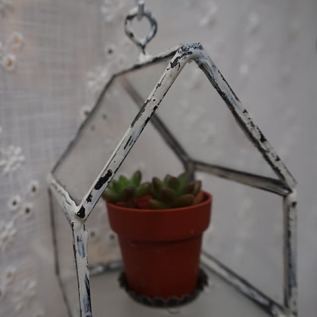 Vetroさんの実例写真