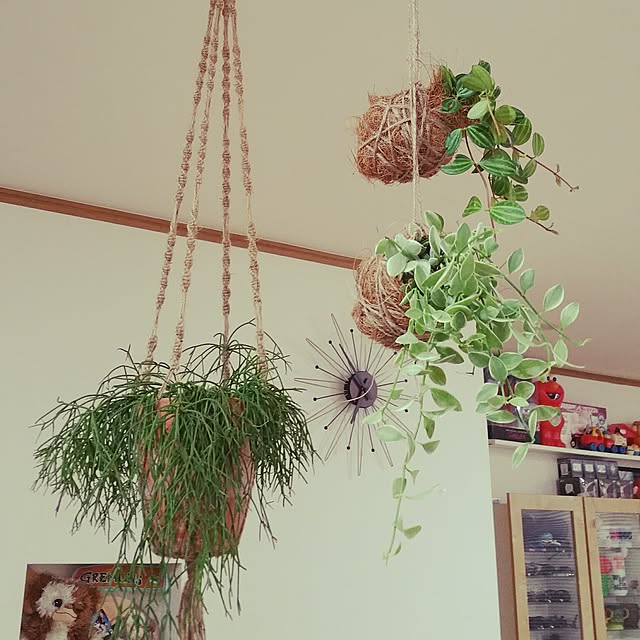 mamitasuさんの実例写真